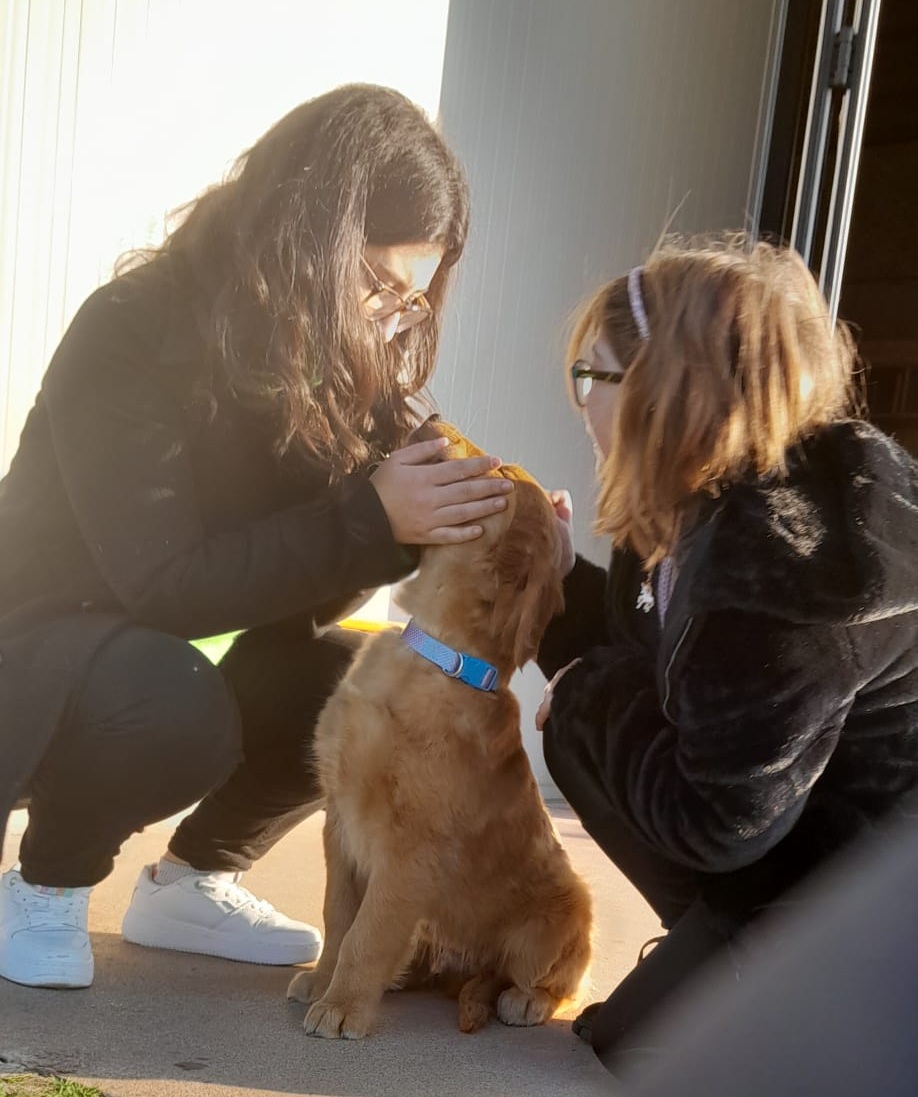 I nostri animali