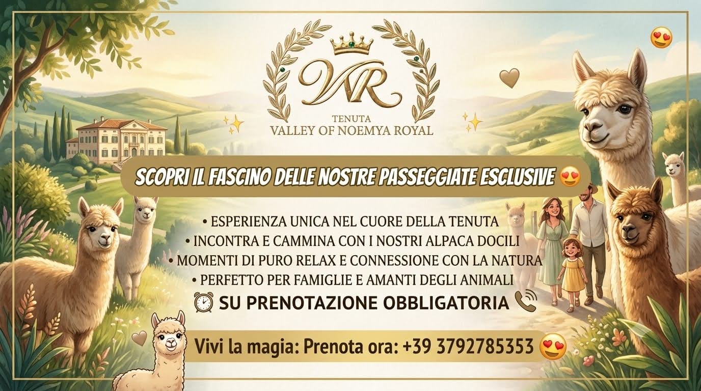 Passeggiate esclusive con gli alpaca – Noemya Royal Palestro