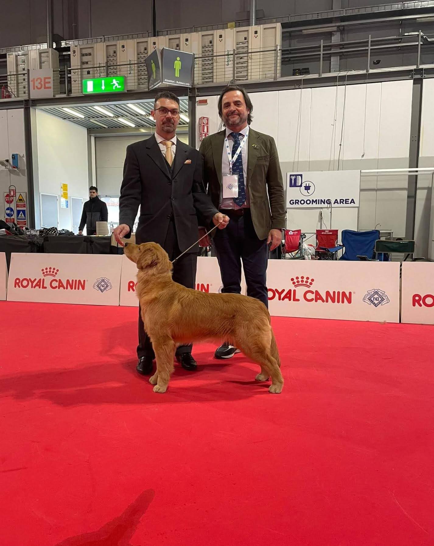 Ring Royal Canin – Noemya Royal