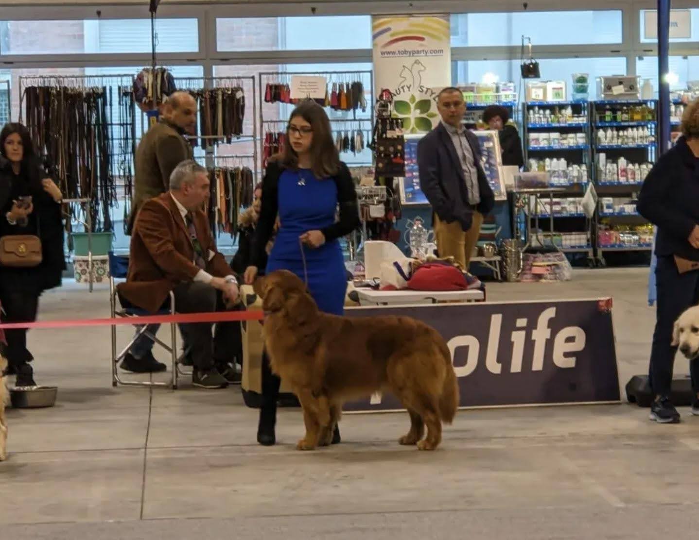 Ring canino – Noemya Royal
